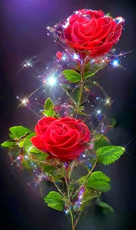 Beautiful Nature image