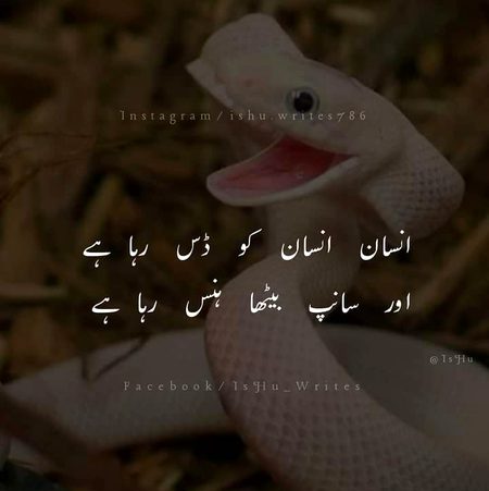 Life Advice image