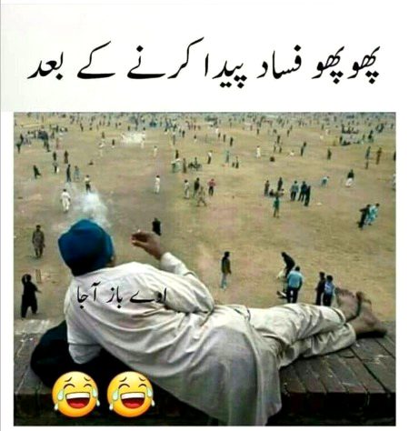 Memes & Satire image