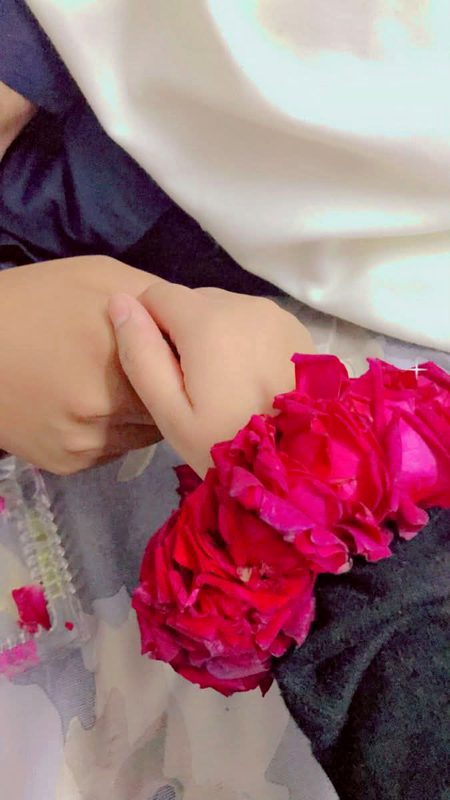 Beautiful Nature image