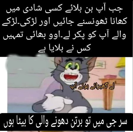 Memes & Satire image