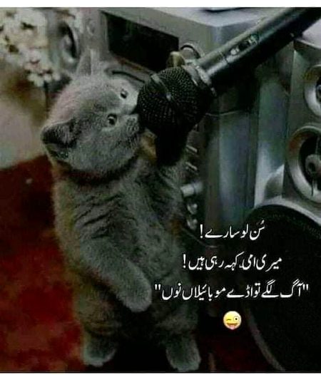 Jokes image