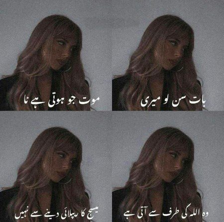 Memes & Satire image