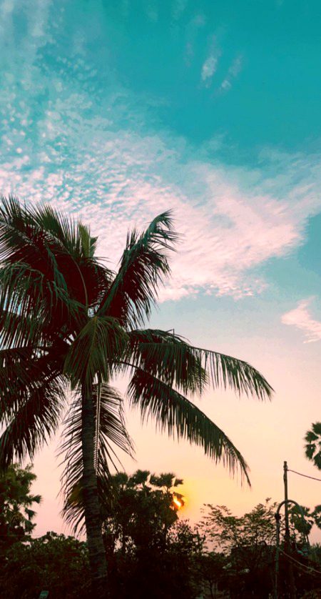 Beautiful Nature image