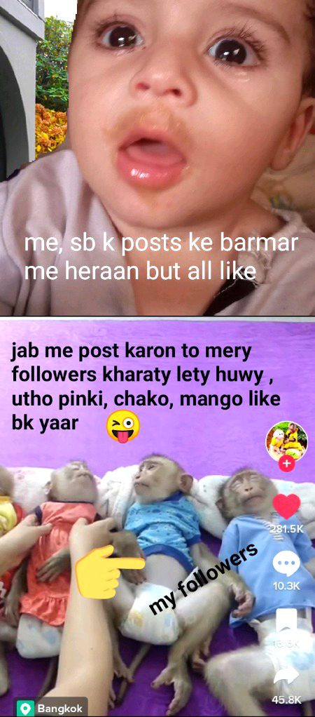 Damadam Roasting image
