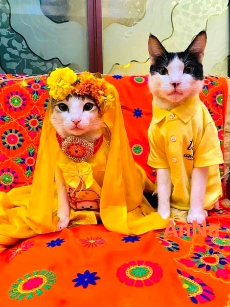 Beautiful Nature image