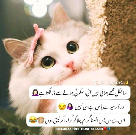 Jokes image