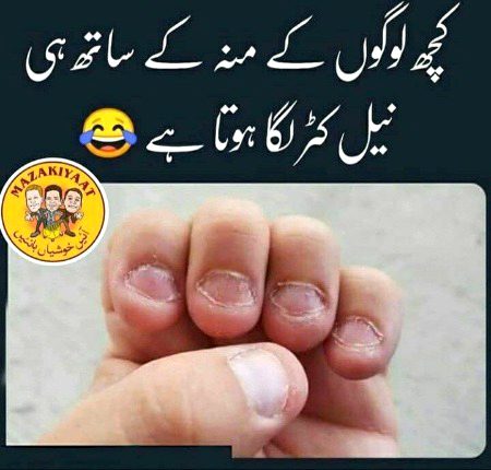 Memes & Satire image