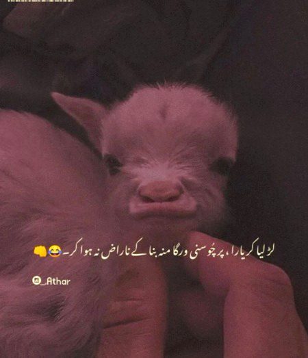 Jokes image