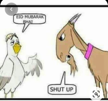 Funny joke