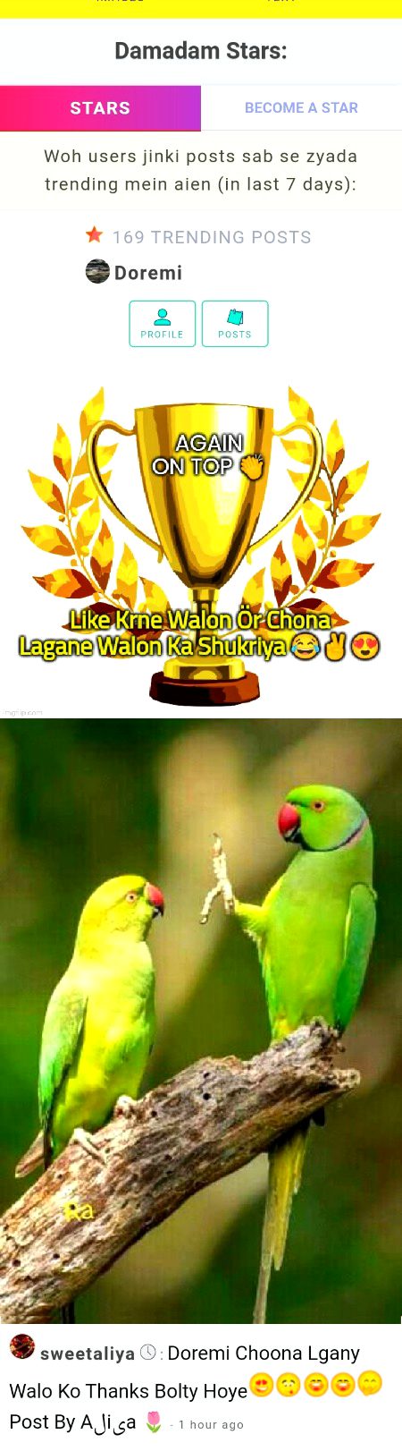 Damadam Roasting image