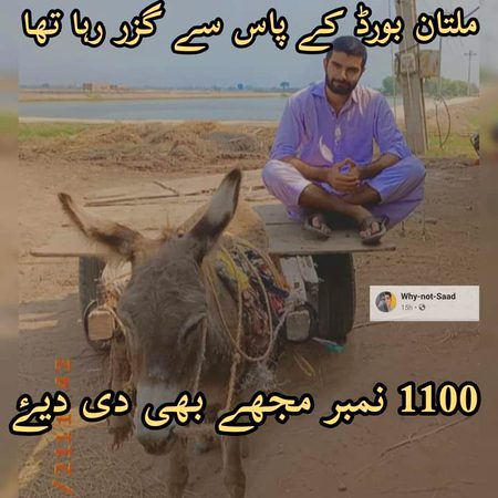 Memes & Satire image