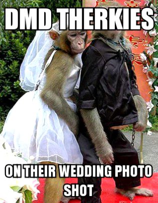 Damadam Roasting image