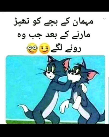 Memes & Satire image