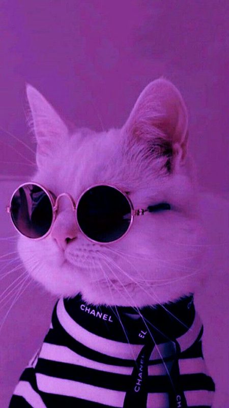 Beautiful Nature image