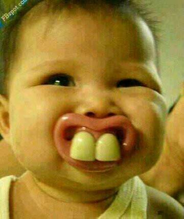 Damadam Roasting image