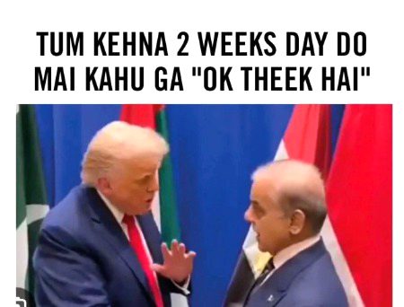 Memes & Satire image