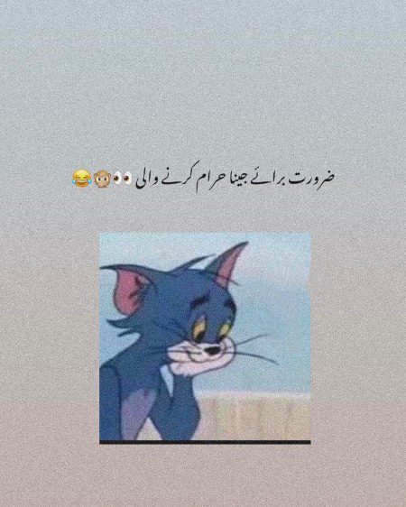 Memes & Satire image