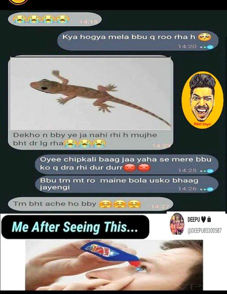 Memes & Satire image