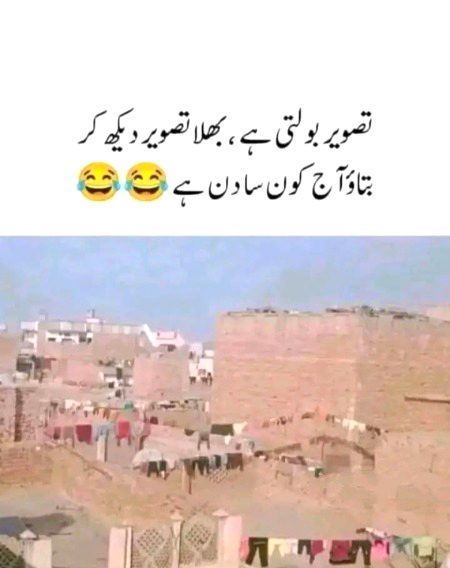 Memes & Satire image