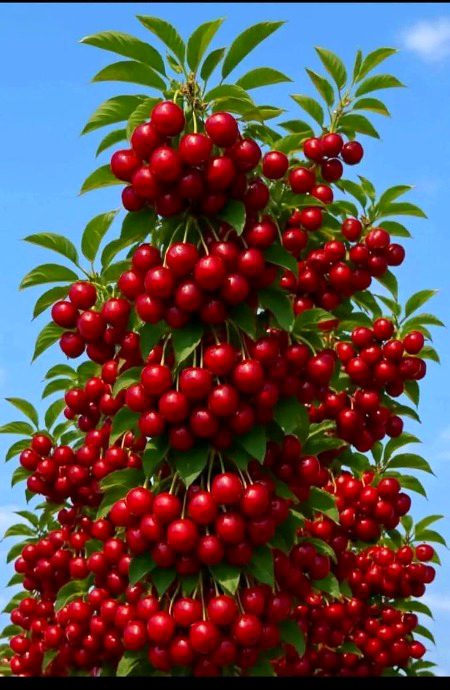 Beautiful Nature image