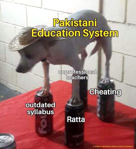 Memes & Satire image