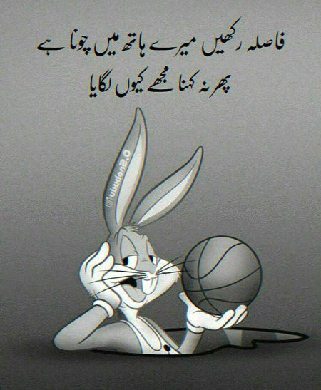 Memes & Satire image