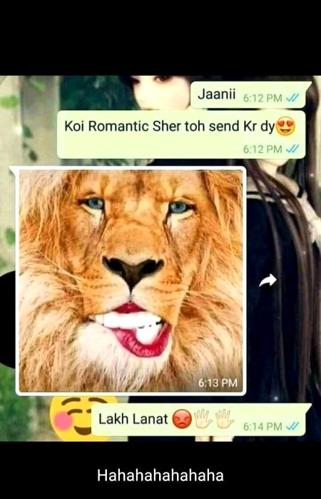 Memes & Satire image