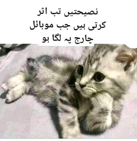 Jokes image