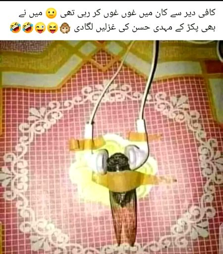 Memes & Satire image