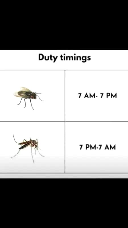 Memes & Satire image