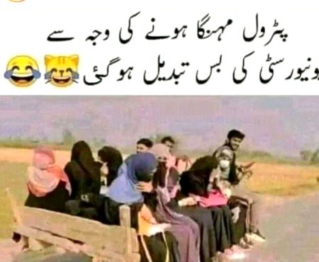 Memes & Satire image