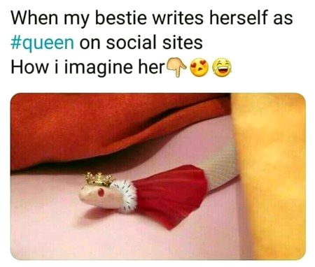 Memes & Satire image