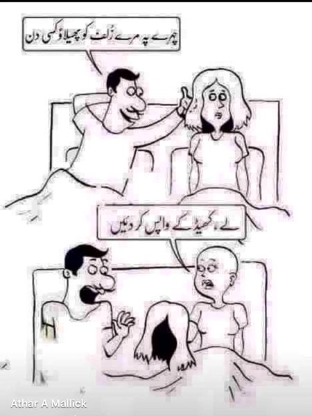 Memes & Satire image