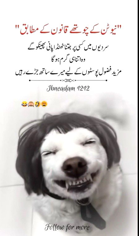 Memes & Satire image