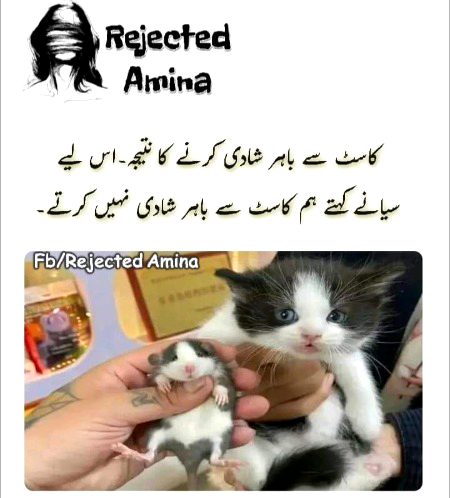 Memes & Satire image