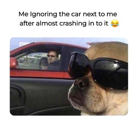 Memes & Satire image