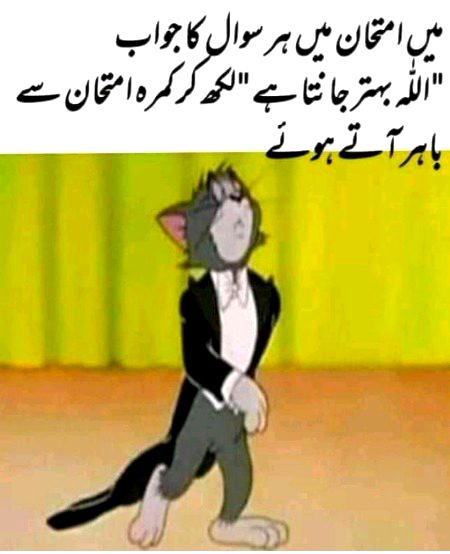 Memes & Satire image