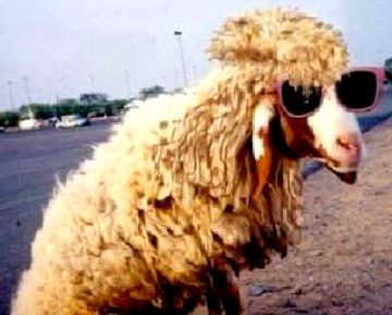 Beautiful Nature image