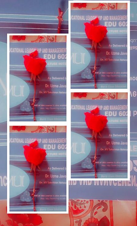 Beautiful Nature image