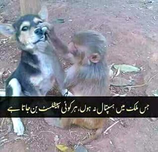 Funny joke