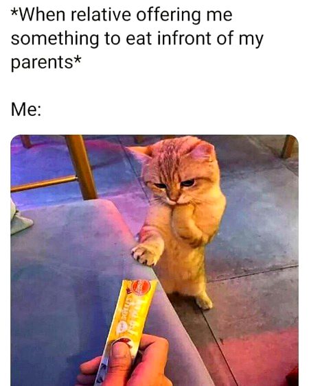 Memes & Satire image