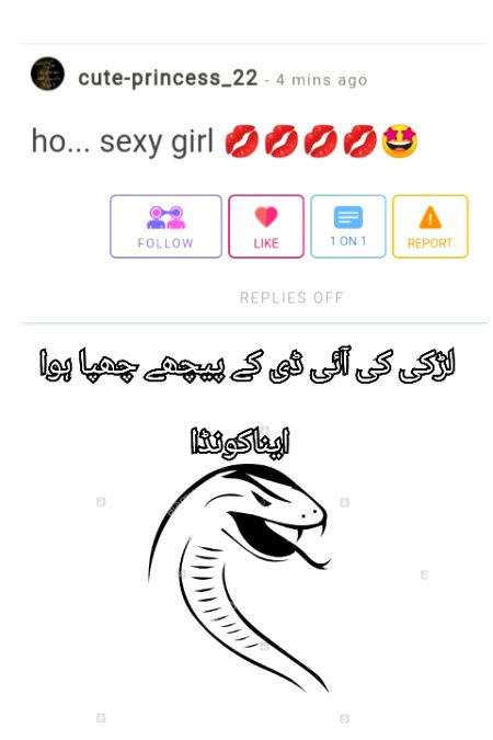Damadam Roasting image