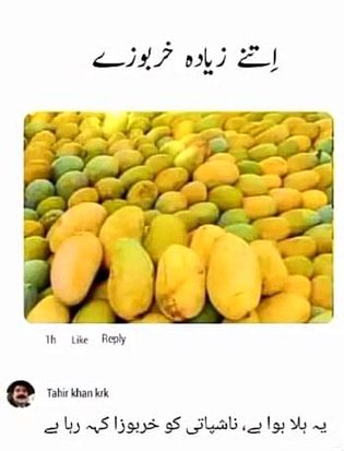 Memes & Satire image