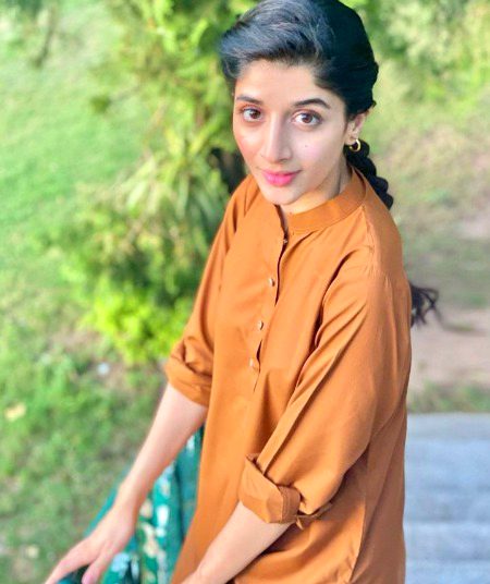 Pakistani Celebs image