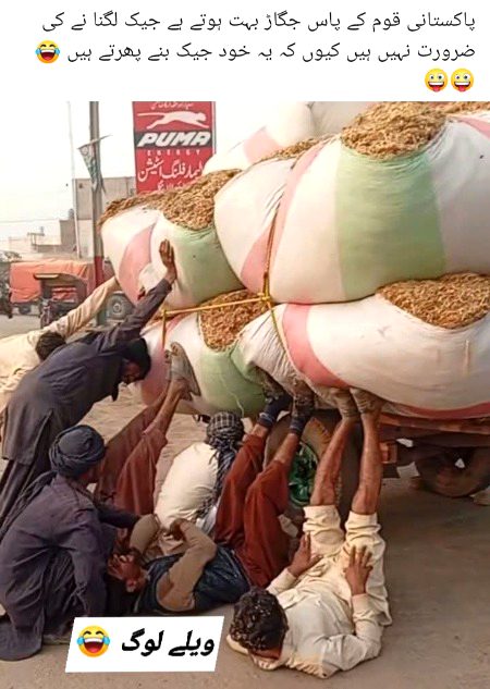 Memes & Satire image