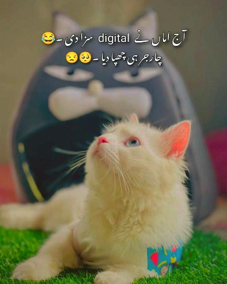 Jokes image