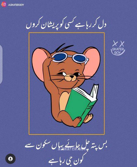 Memes & Satire image