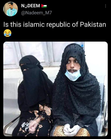 Memes & Satire image