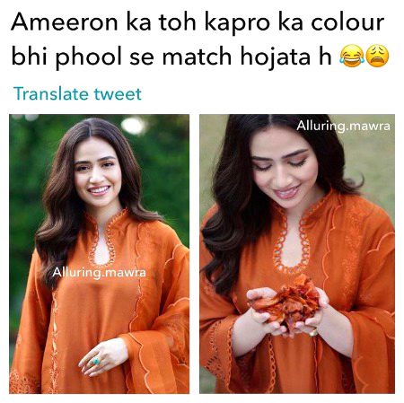 Memes & Satire image